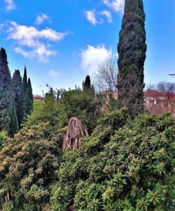 Casa Raffaello Careggi Apartamento Florencia